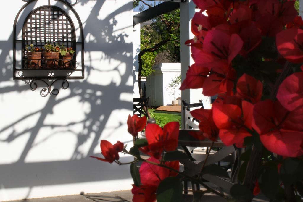 Lemon & Lime Guesthouse Bloemfontein Exteriör bild