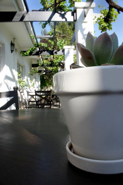 Lemon & Lime Guesthouse Bloemfontein Exteriör bild